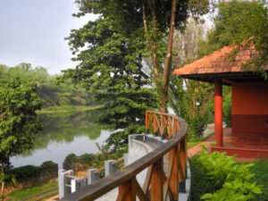 homestays near bhadra wildlife santuary