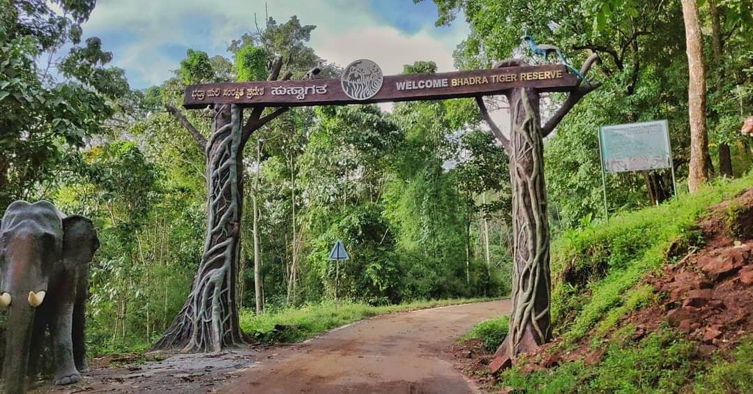 Your Guide to Bhadra Wildlife Sanctuary Timings for All Activities