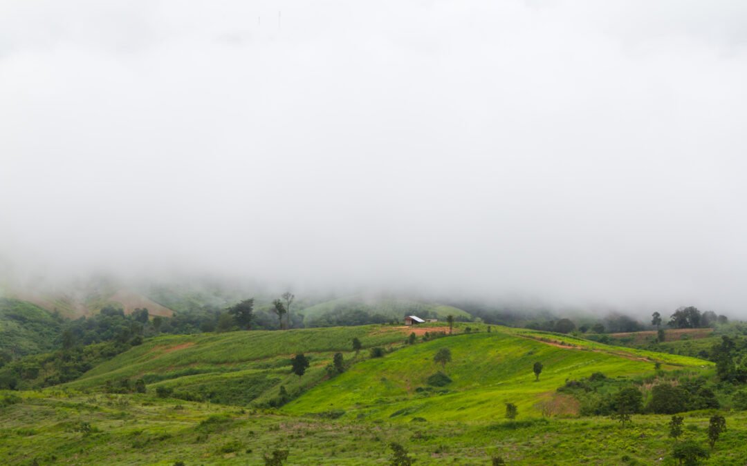 Why Winter is the Perfect Time to Stay at Chikmagalur Homestay