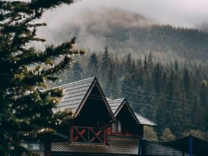 Homestays Near Chikmagalur
