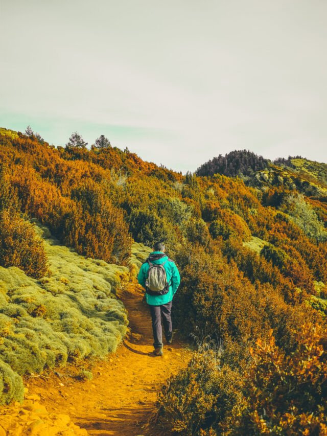 Top Things to Do in Chikmagalur: Adventure & Nature